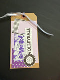 Volleyball tag